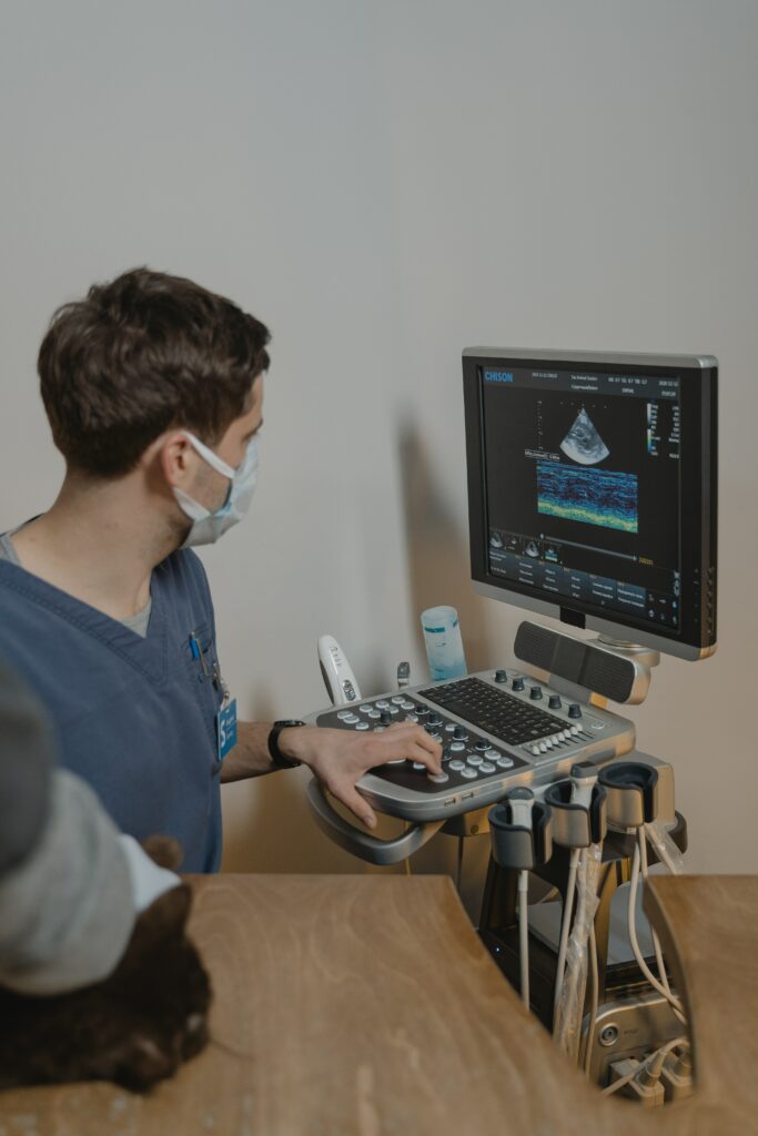 Veterinary sonograph sevices